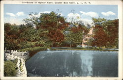 Scene in Oyster Cove Oyster Bay Cove, NY Postcard Postcard Postcard