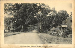 South Street, Looking North Roxbury, CT Postcard Postcard Postcard