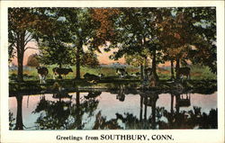 Greetings from Southbury Postcard