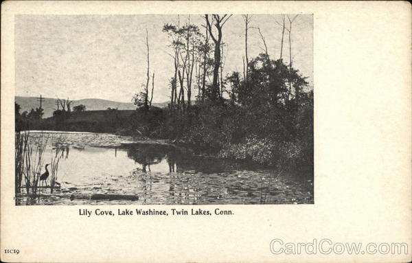 Lily Cove at Lake Washinee Twin Lakes Connecticut