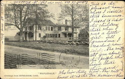 Mapledale Postcard