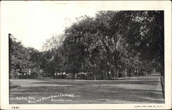 Sea Side Park - Main and Broad Street Entrance Bridgeport, CT Postcard Postcard Postcard