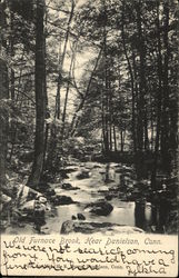 Old Furnace Brook Postcard