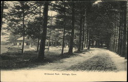 Wildwood Park Postcard
