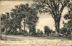 The Beecher Well. North Street Litchfield, CT Postcard Postcard Postcard
