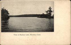 Bashan Lake Postcard