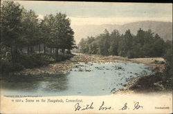 Scene on the Naugatuck Postcard