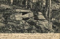 Wolf Den Pomfret, CT Postcard Postcard Postcard