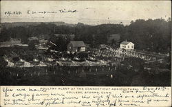 Poultry Plant at the Connecticut Agricultural College Storrs, CT Postcard Postcard Postcard