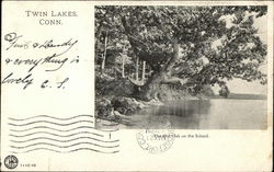 The Old Oak on the Island Postcard