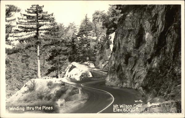 Winding thru the Pines Mount Wilson California