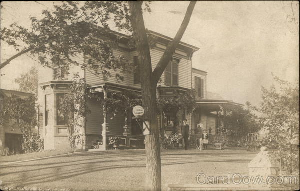 Veterinary Surgeon, Veterinarian Amsterdam New York