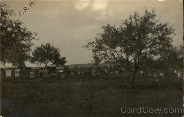 Myron Millers Bee Farm Evans Michigan