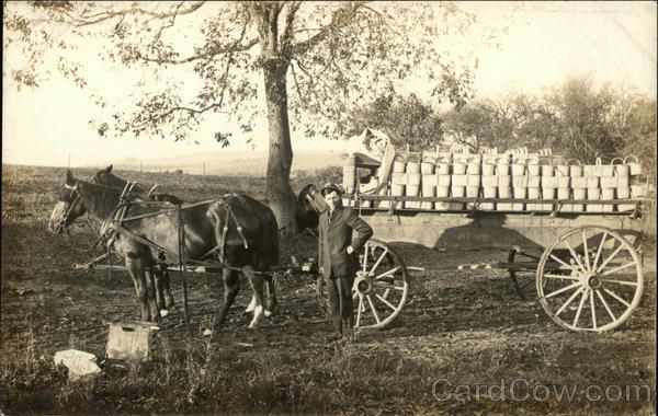 Horse Drawn Apple Wagon Rockford Michigan