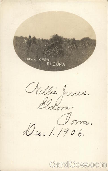 Iowa Corn Eldora