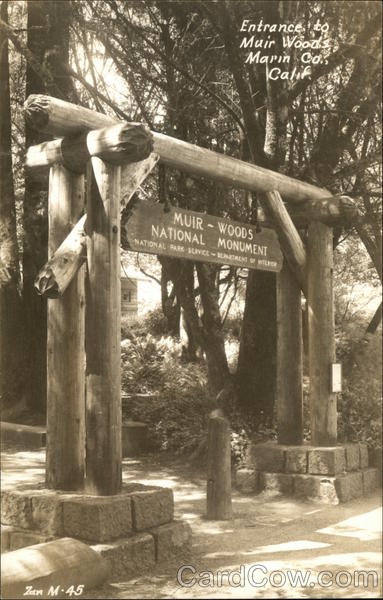 Entrance to Muir Woods Mill Valley California