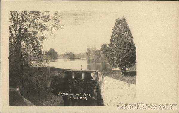 Boggstowe Mill Pond Millis Massachusetts