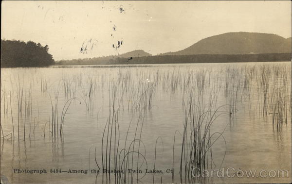 Among the Rushes Twin Lakes Connecticut
