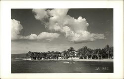 Stock #489222 Thumbnail