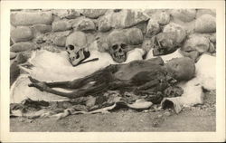 Mummy of Child Postcard