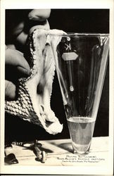 Ross Allen's Reptile Institute - Milking Rattlesnake Postcard