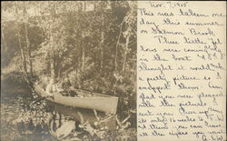 Salmon Brook Postcard