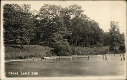View of Lake and Shoreline Cedar Lake, IN Postcard Postcard 