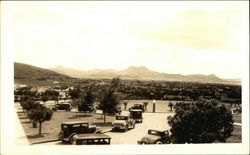 Outdoor Scene with Cars and Trees Postcard