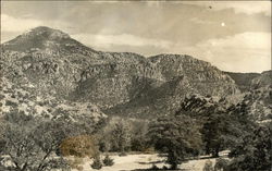 Scenery Above Ranch House at Far-Away Ranch Willcox, AZ The Camera Shop Postcard Postcard Postcard
