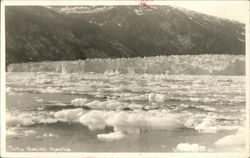 Taku Glacier Alaska Postcard Postcard Postcard