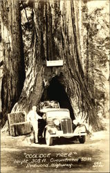 Stock #489817 Thumbnail