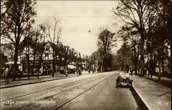 The Avenue Postcard