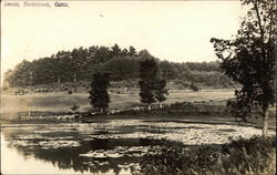 View of Pond Danielson, CT Postcard Postcard Postcard