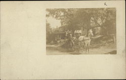 Man Sitting in Horse and Carriage on Neighborhood Street East Berlin, CT Postcard Postcard Postcard