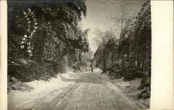 Meadow Road Mashapaug, CT Postcard Postcard 