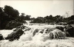 Rushing White Water River Postcard