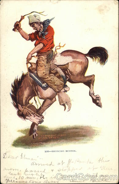 Broncho Buster - Painting of rodeo cowboy riding bucking horse