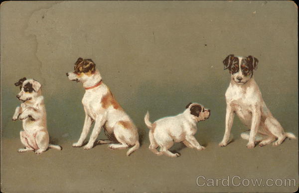 Puppies Doing Tricks - Illustration Dogs