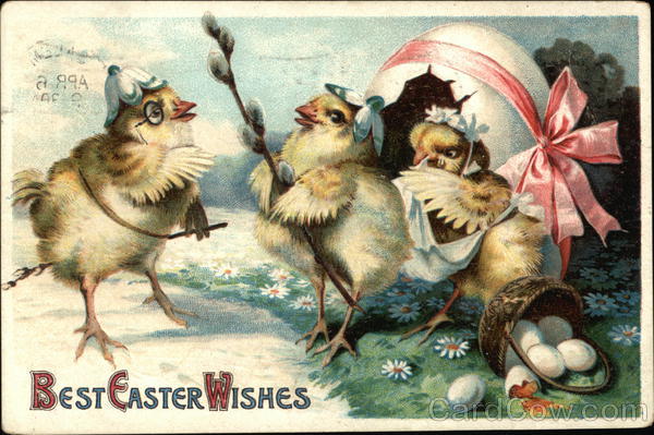Best Easter Wishes With Chicks