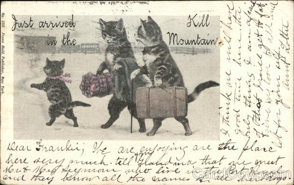 Just Arrived in the (Cats) Kill Mountains