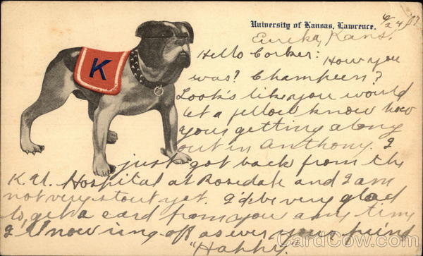 University of Kansas Mascot Lawrence Universities