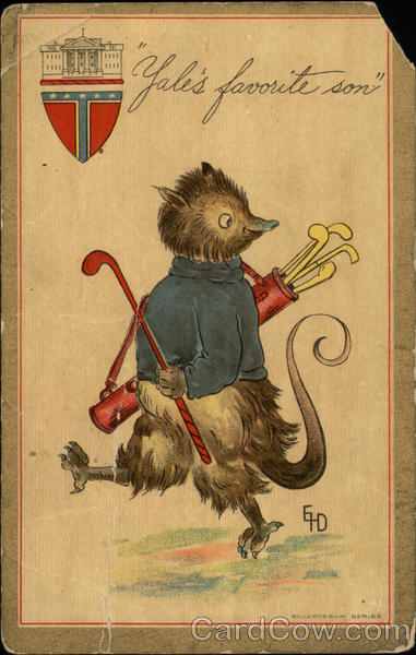 Yale's Favorite Son Universities