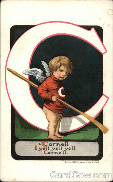 Cornell Baby Universities