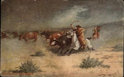 Stampede of Cattle Postcard