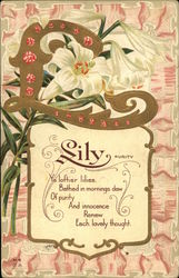 Lily Flowers Postcard Postcard Postcard