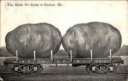 The Kind We Raise in Easton, Me. Postcard