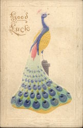 Good Luck Peacock Birds Postcard Postcard Postcard