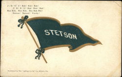 Stetson University Pennant (JBSU) Postcard