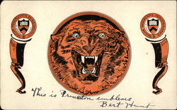Princeton Mascot Postcard
