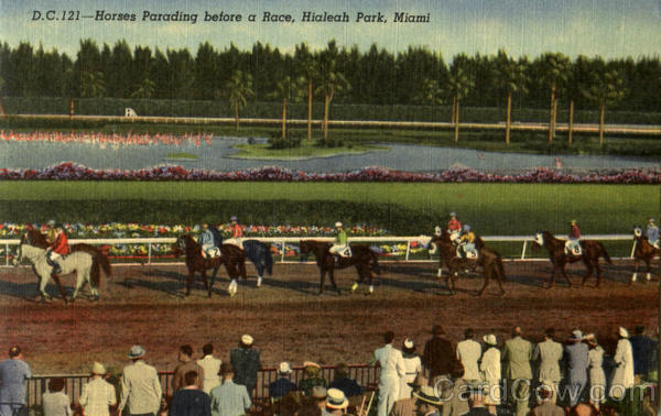 Horses Parading Before The Race, Hialeah Park Miami Florida